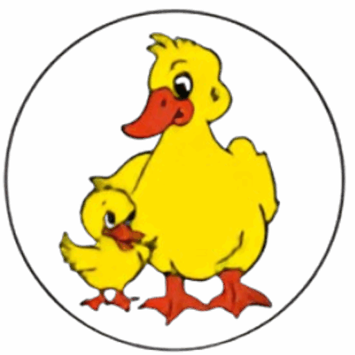 Fledglings Educational Playgroup